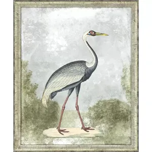 Cranes I S/2