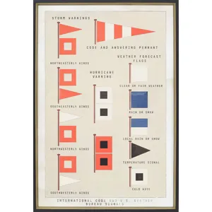 Storm Flags Framed Art