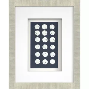 Sand Dollars S/4