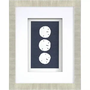 Sand Dollars S/4