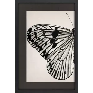 Grand Butterfly I Framed Art