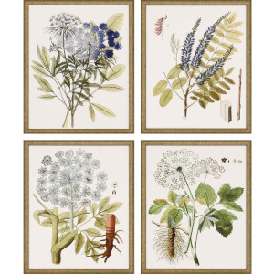 Lacy Leaves S/4 Framed Art