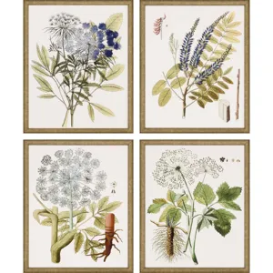 Lacy Leaves S/4 Framed Art