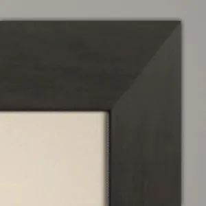 Sepia Bloom I Framed Art