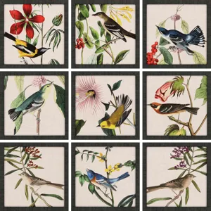 Avian S/9 Framed Art