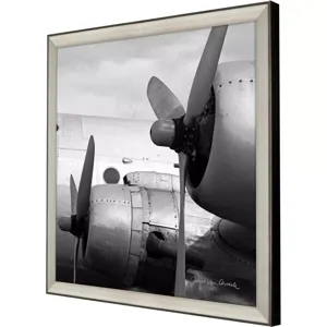 Vintage Flight I Framed Art