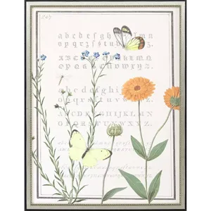 Ephemeral Flourish Framed Art