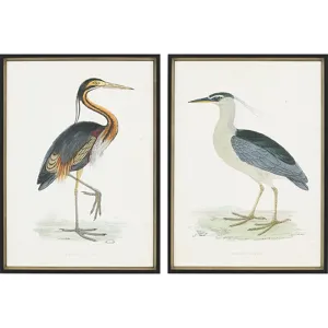 Herons S/2