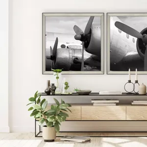 Vintage Flight I Framed Art