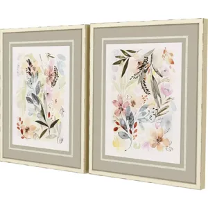 Potpourri S/2 Framed Art