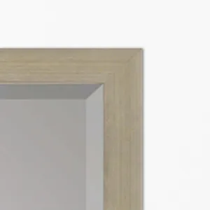 #854 22 X 28 Beveled Mirrors