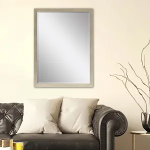 #854 24 X 36 Beveled Mirrors