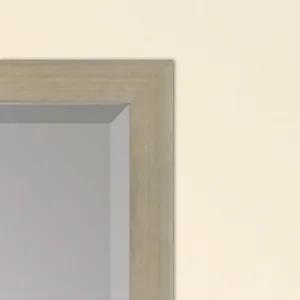 #854 30 X 40 Beveled Mirrors