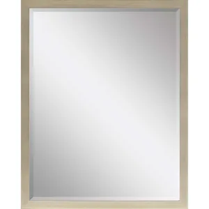 #854 36 X 48 Beveled Mirrors