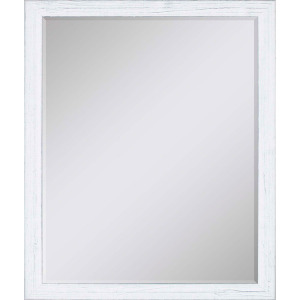 #463 22 x 28 Beveled Mirrors