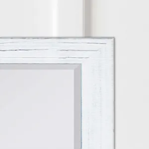 #463 22 x 28 Beveled Mirrors