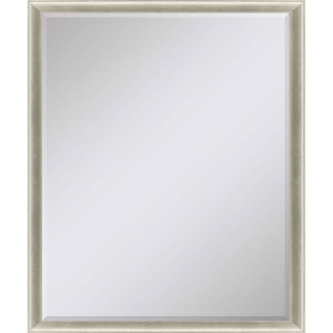 #543 22 x 28 Beveled Mirrors