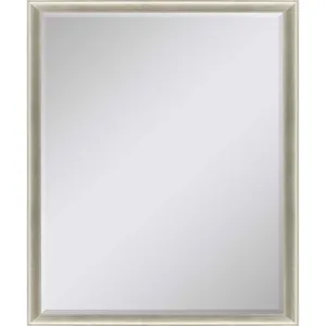 #543 22 x 28 Beveled Mirrors