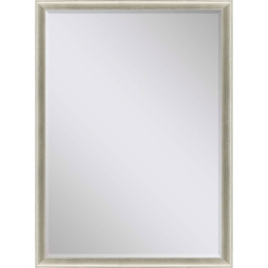 #543 24 x 36 Beveled Mirrors