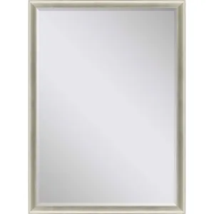 #543 24 x 36 Beveled Mirrors