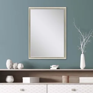 #543 24 x 36 Beveled Mirrors