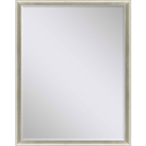 #543 30 x 40 Beveled Mirrors