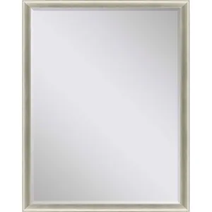 #543 30 x 40 Beveled Mirrors