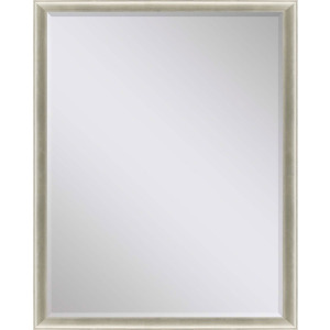 #543 36 x 48 Beveled Mirrors