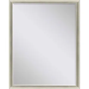 #543 36 x 48 Beveled Mirrors
