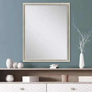 #543 36 x 48 Beveled Mirrors
