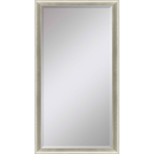 #543 30 x 72 Beveled Mirrors