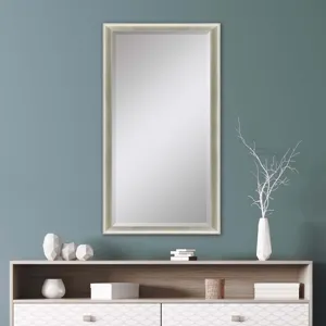 #543 30 x 72 Beveled Mirrors