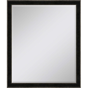 #535 22 x 28 Beveled Mirrors