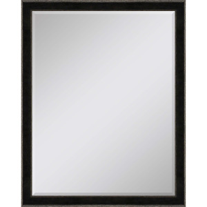 #535 30 x 40 Beveled Mirrors