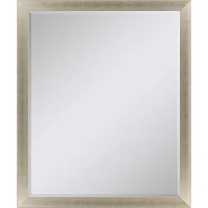 #790 22 x 28 Beveled Mirrors