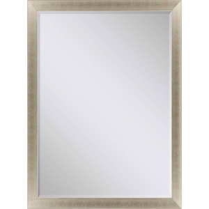 #790 24 x 36 Beveled Mirrors