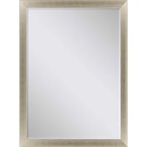 #790 24 x 36 Beveled Mirrors