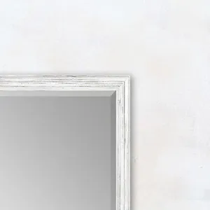 #418 24 x 36 Beveled Mirrors