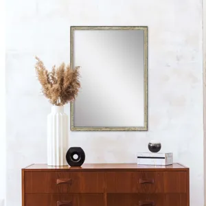 #549 22 x 28 Beveled Mirrors