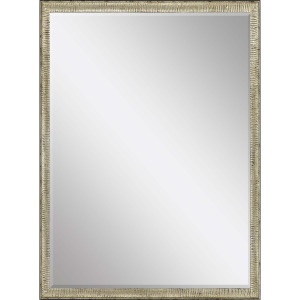#549 24 x 36 Beveled Mirrors