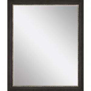 #843 22 x 28 Beveled Mirrors