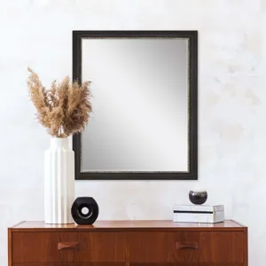 #843 22 x 28 Beveled Mirrors