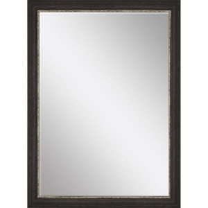#843 24 x 36 Beveled Mirrors