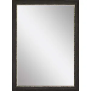#843 24 x 36 Beveled Mirrors