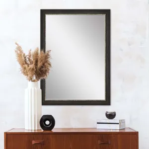 #843 24 x 36 Beveled Mirrors