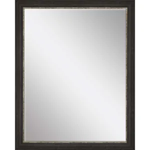 #843 30 x 40 Beveled Mirrors