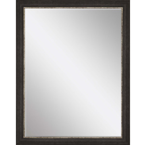 #843 36 x 48 Beveled Mirrors
