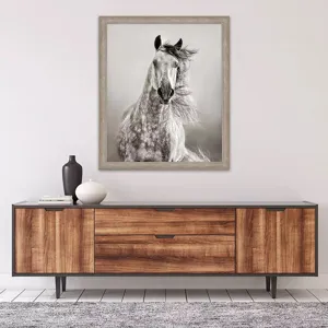 Caballo De Andaluz