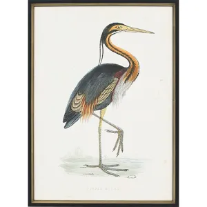 Herons S/2