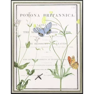 Ephemeral Bloom Framed Art